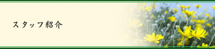 スタッフ紹介